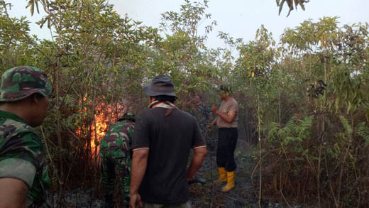 Lahan Tidur di Bengkalis Terbakar